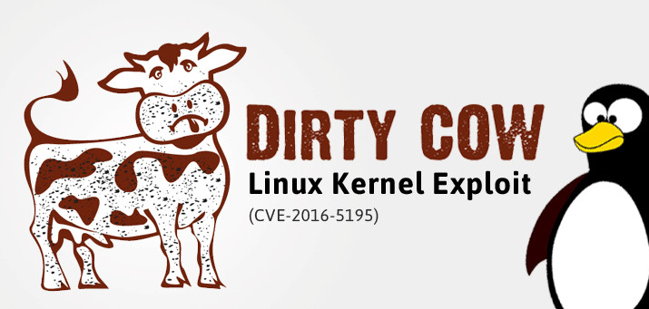 Dirty Cow Linux Kernel Exploit